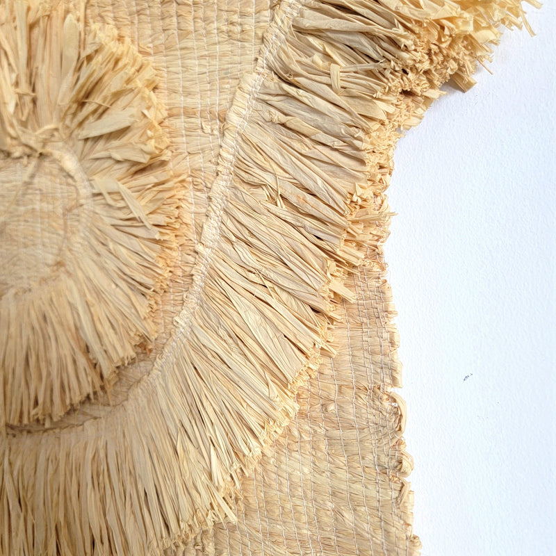 Hand - Woven Straw Wall Hanging: Boho - Chic Home Decor natural fiber raffia decoration wall decoration