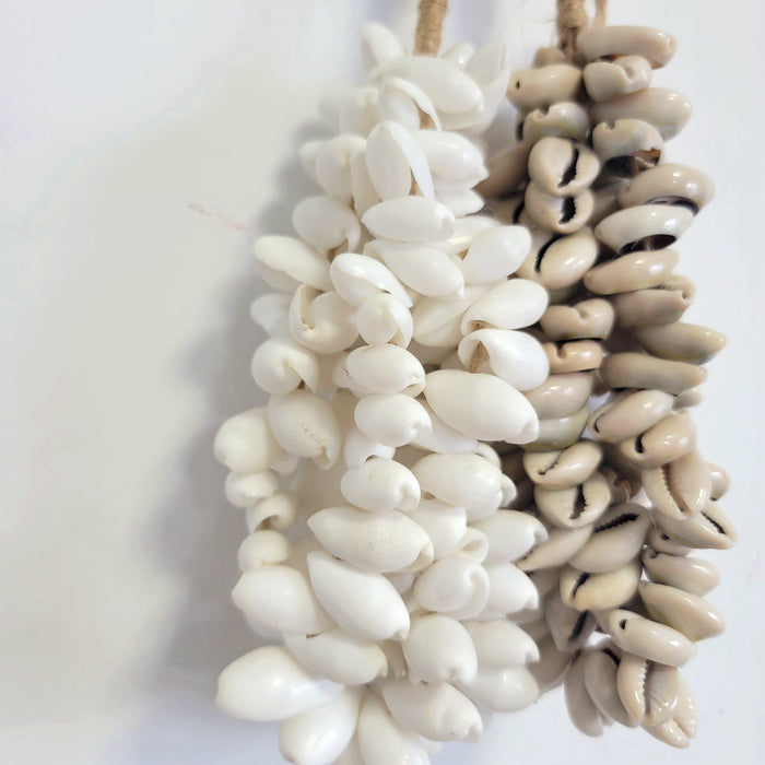 FREE SHIPPING SHELL DECORATIONS-SEA SHELLS BOHO HANGING-ROUND SHAPDE-SHELL DREAMCATCHER