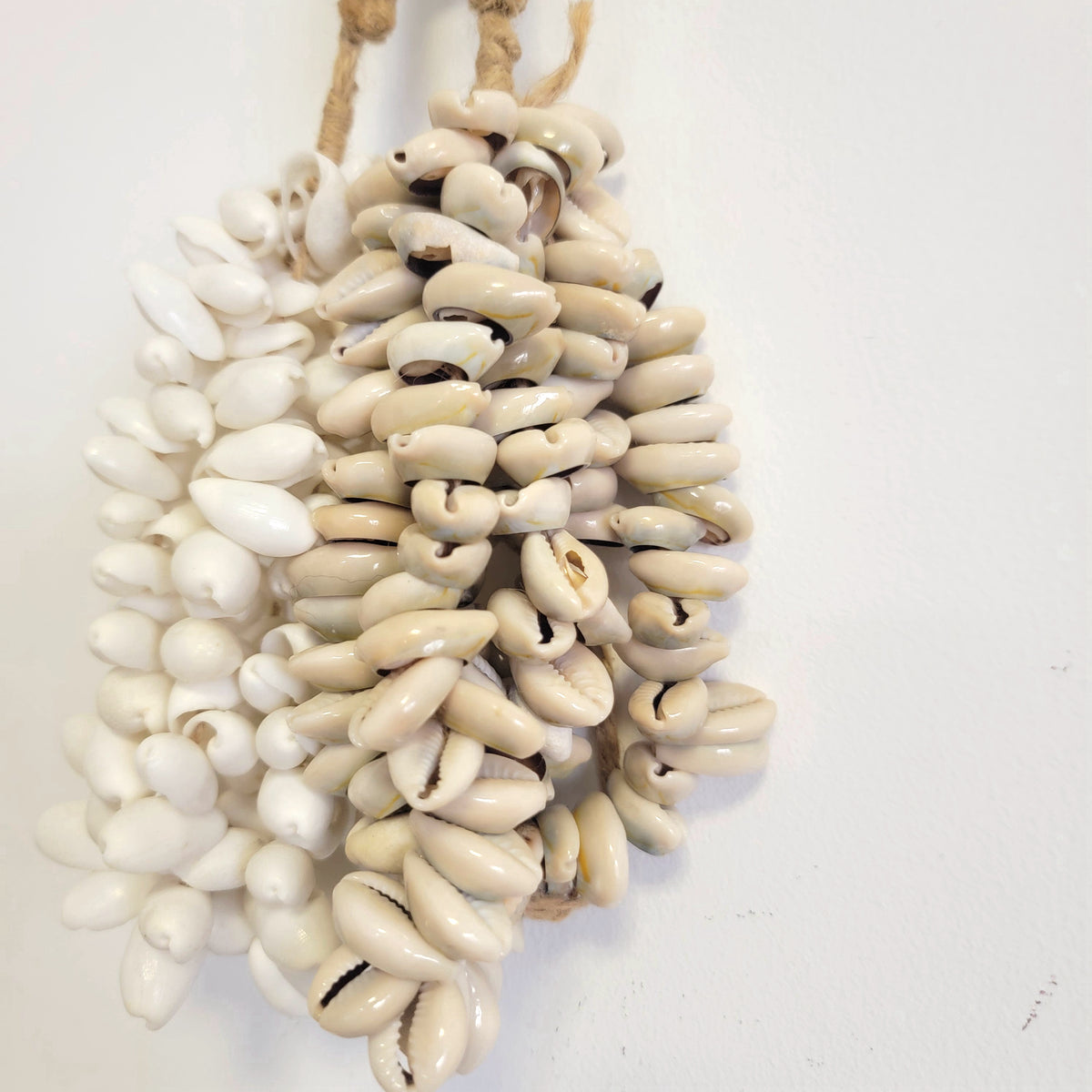 FREE SHIPPING SHELL DECORATIONS-SEA SHELLS BOHO HANGING-ROUND SHAPDE-SHELL DREAMCATCHER