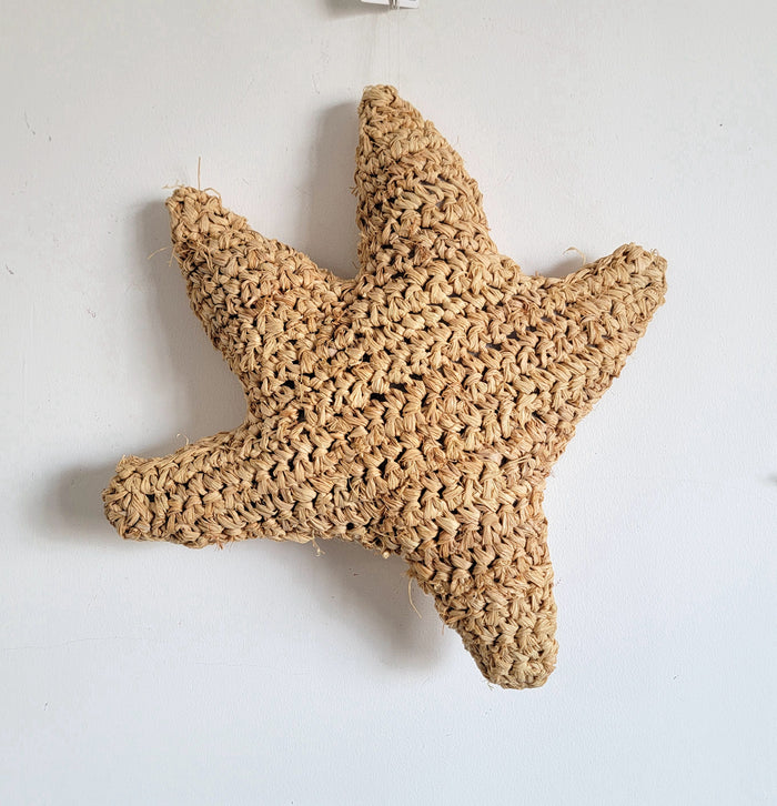 Natural Fiber Seastar Shape Boho Pillow Cushion Handmade Weaving Decorative Throw Pillow for Living Room Bedroom