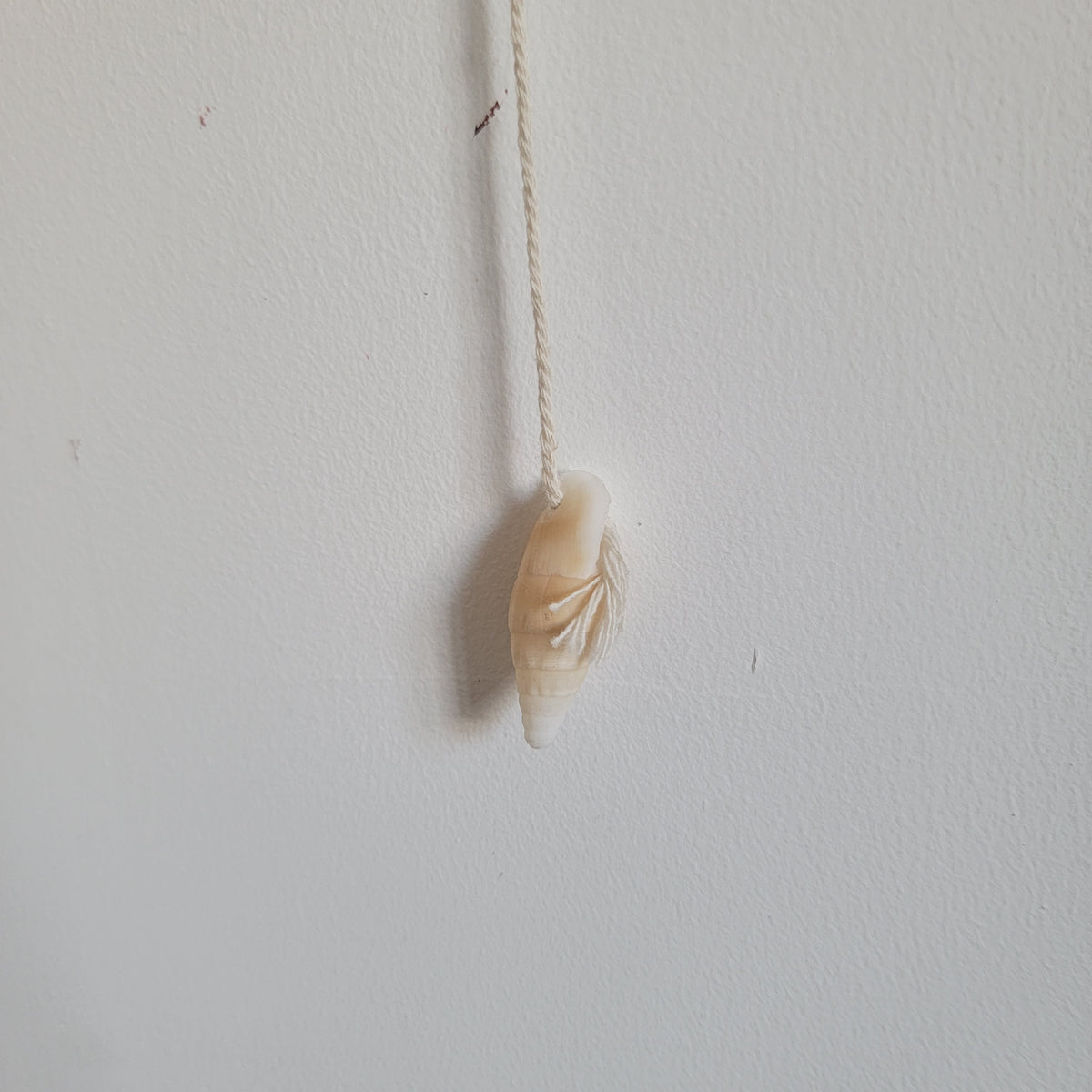 Coastal Seashell Macramé Dreamcatcher – Handwoven Wall Hanging Bring the Calming Essence of the Ocean into Your Home