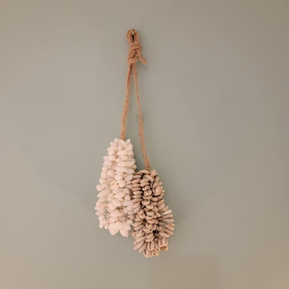 Boho Hanging Sea Shell Dreamcatcher Shell Decorations - round Shape Sea Shells for Home Decor