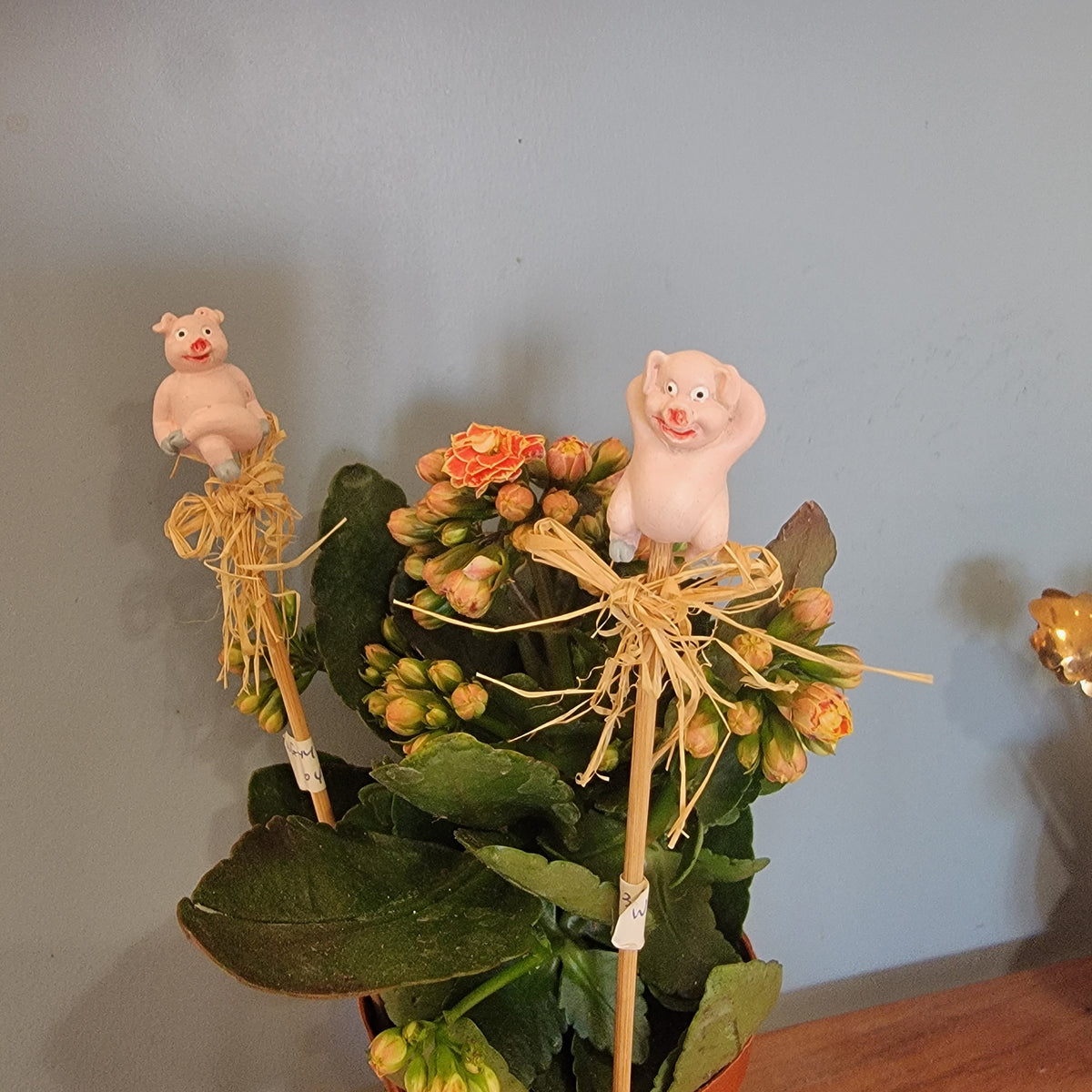 15pcs/packet Adorable Decor for Potted Plants And Parties - Cute Planters Party Supplies - Home Garden Accessories