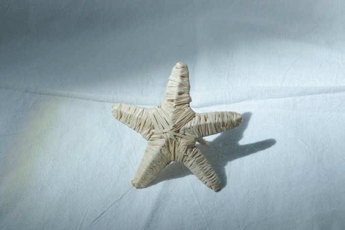 4pcs/packet Elevate Your Tabletop Hand-Braided Raffia Sunburst Tissue Ring Chic Handmade Boho Tissue Decor